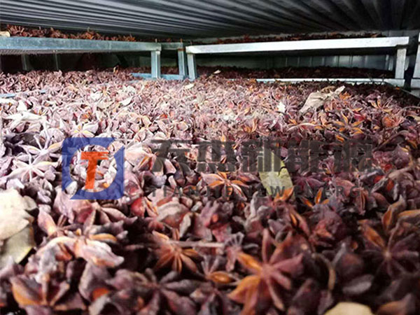 八角烘干機視頻